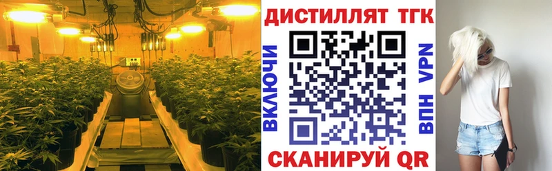 купить   Саров  ТГК Wax 
