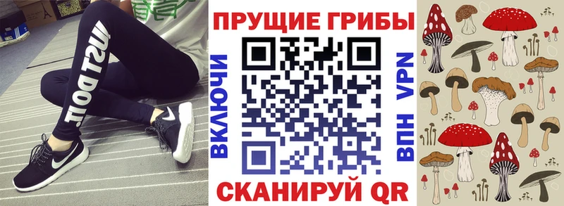 Псилоцибиновые грибы Psilocybine cubensis  Саров 