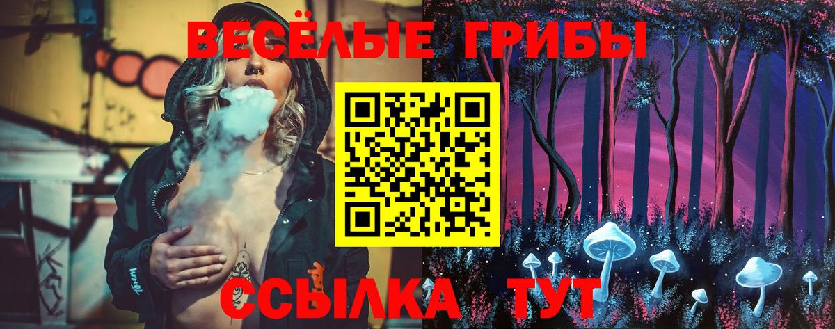 Псилоцибиновые грибы прущие грибы Саров