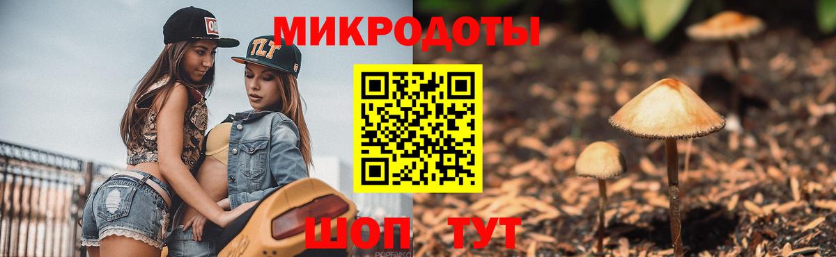 Галлюциногенные грибы Cubensis  Вход с VPN  Саров 