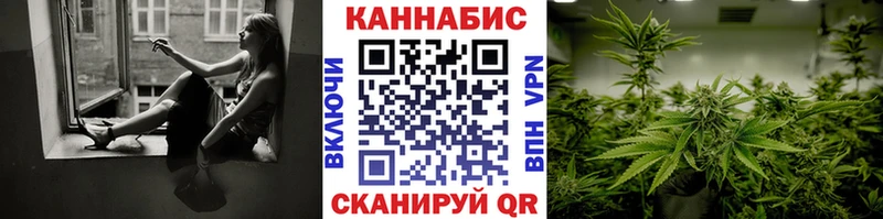 закладки Саров Конопля SATIVA & INDICA